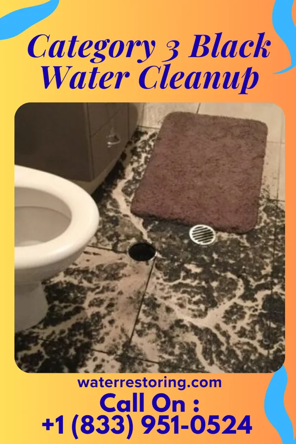 Category 3 Black Water Cleanup in Elmira Heights, NY