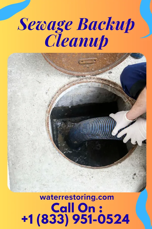 Sewage Backup Cleanup in Elmira Heights, NY
