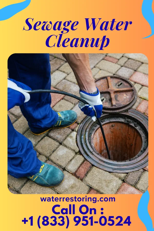 Sewage Water Cleanup in Elmira Heights, NY