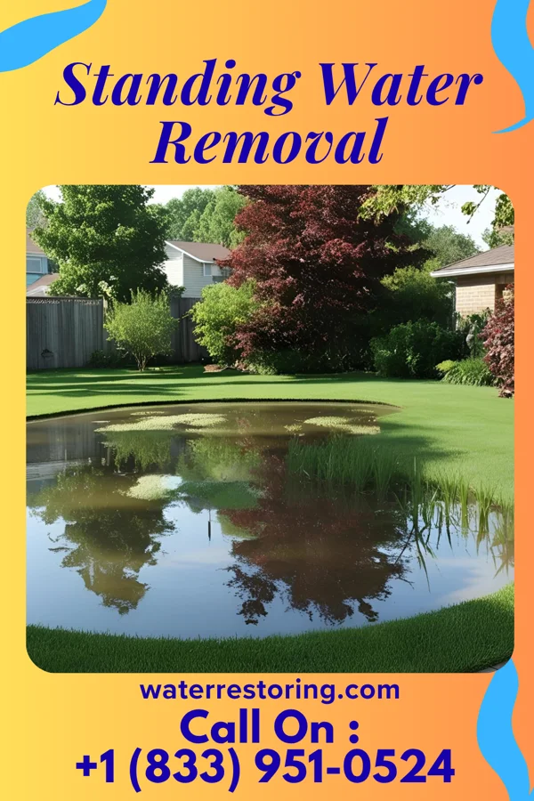 Standing Water Removal in Elmira Heights, NY